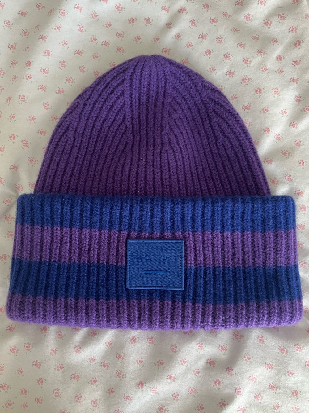 Acne studios blue and purple striped beanie